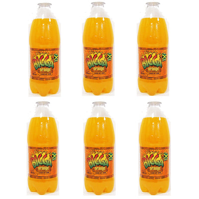 Bigga Soft Drinks 600ml Assorted Flavours – Pack of 6 or 12 Refreshing Soda Bottles