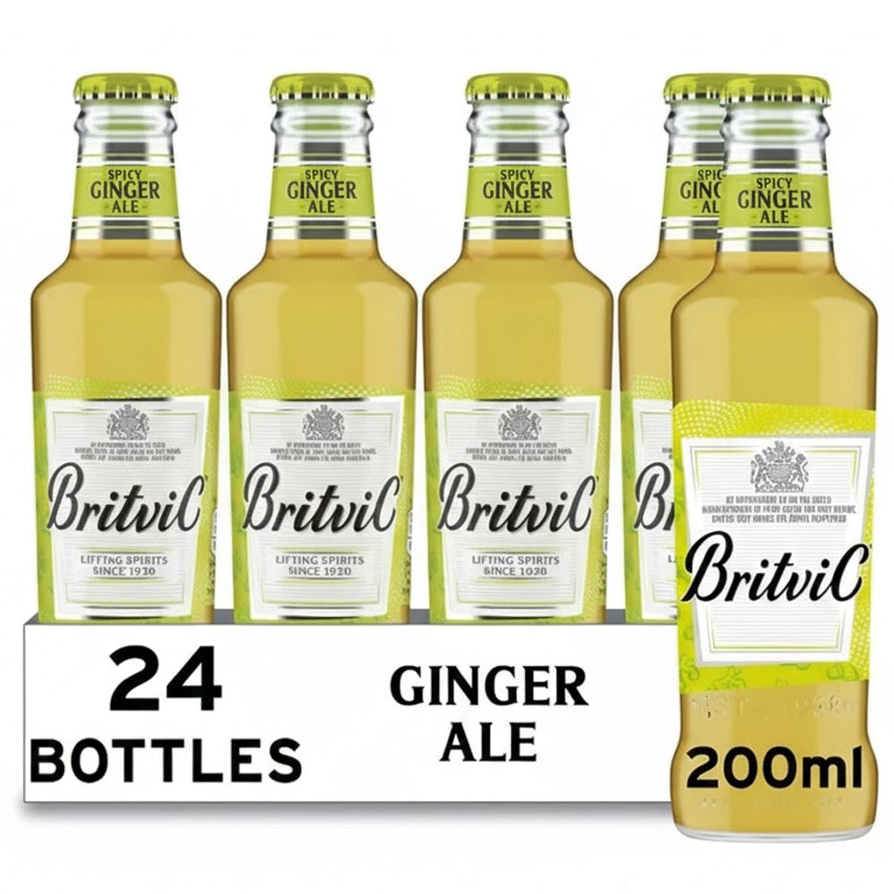 Britvic Spicy Ginger Ale Bottle 200ml (Case of 24)