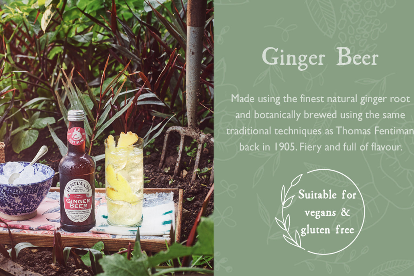 Fentimans Classic Premium Botanical Soft Drinks 275ml – Case of 12