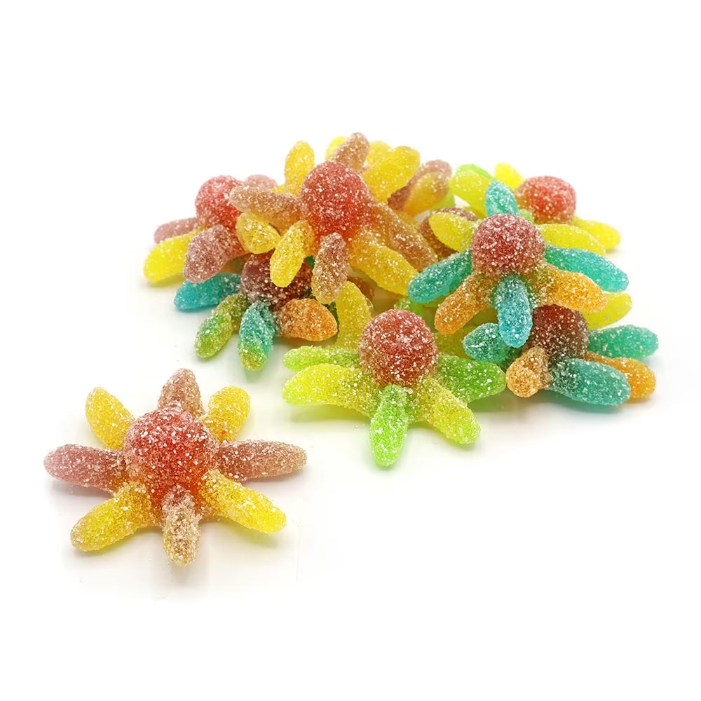 Kingsway Sour Octopus Bag 2kg