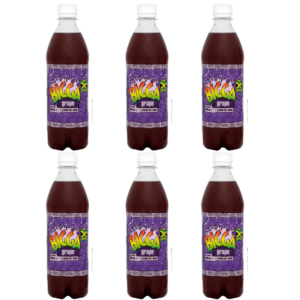 Bigga Soft Drinks – 600ml (Assorted Flavours)