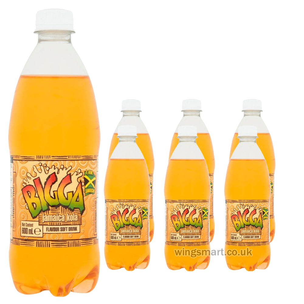 Bigga Soft Drinks – 600ml (Assorted Flavours)