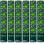 Appletiser Sparkling Apple Drink 250ml – 12 & 24 Cans Refreshing Fizzy Apple Juice