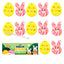 Candy Realms Spring & Easter Lollipops – Assorted Packs