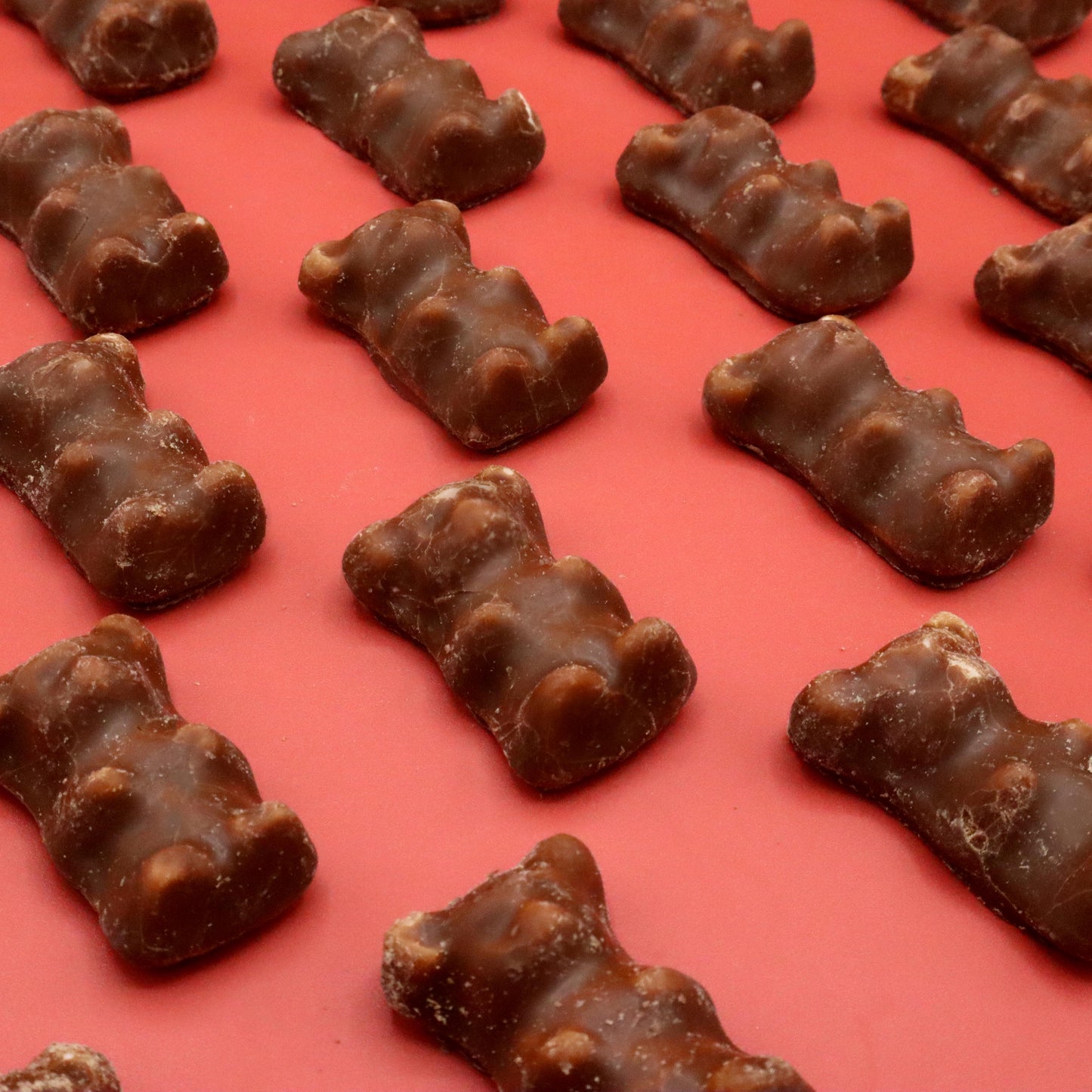 Dals Chocolate Covered Bears Box 2.2kg