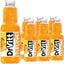 Dr Witt Orange 1L