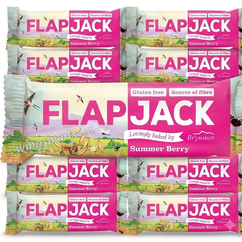 Brynmor Chocolate Caramel Summer Flapjack 80g (10 or 20 Packs) – Sweet Oat Snack Bar