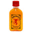 Fireball Liqueur Blended with Cinnamon & Whisky 50ml (Pack of 10)