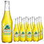 Jarritos Pineapple Natural Flavor Soda 370ml (Case of 12)
