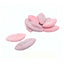 Frisia Sour Lips Vegan Sour Foam Sweets 2kg Bulk Bag