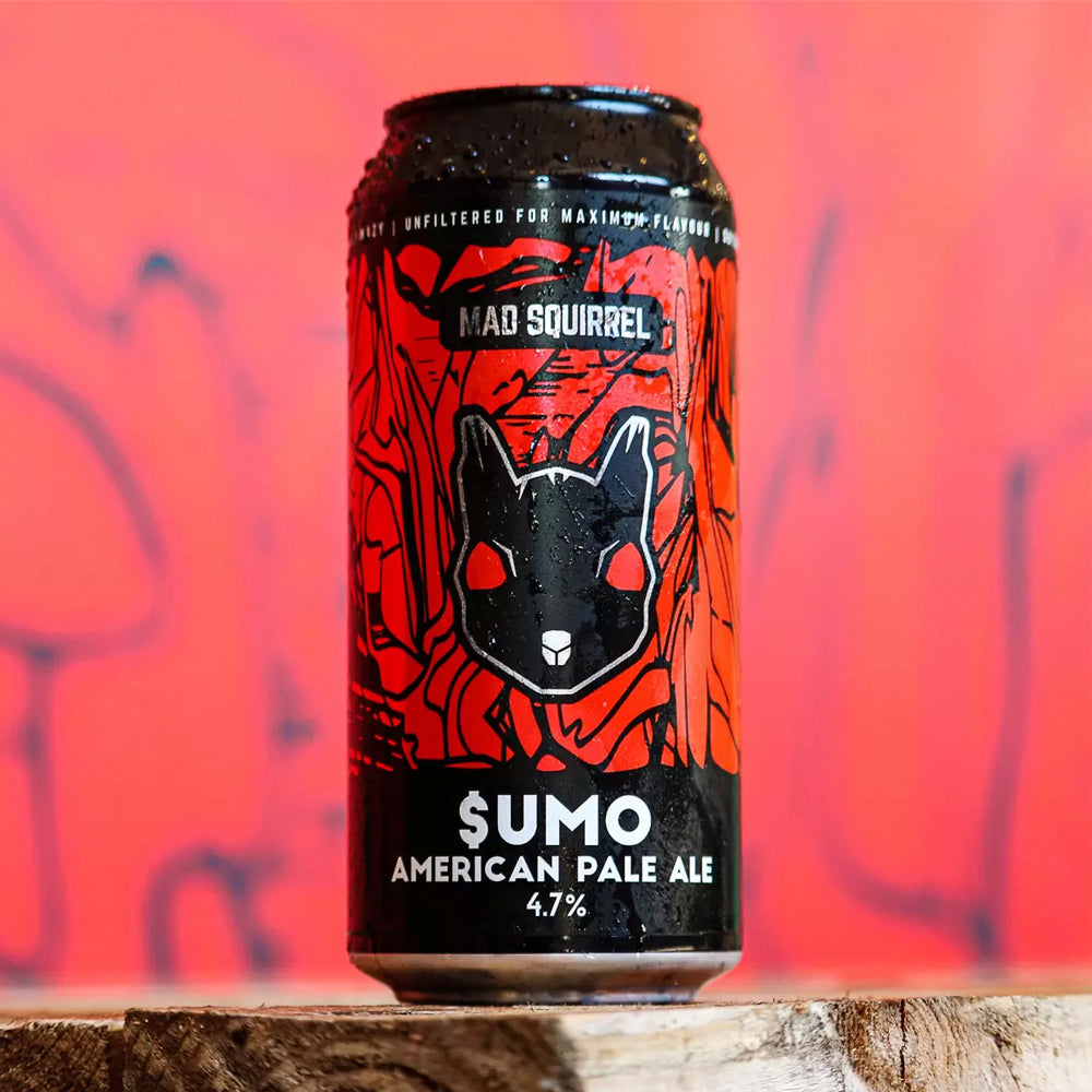 Mad Squirrel Craft Beer Pack, 12 x 440ml