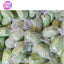 Stockley’s Sugar Free Bulk Sweets Range – Mint, Toffee, Fruit & Liquorice Varieties