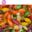 Stockley’s Sugar Free Bulk Sweets Range – Mint, Toffee, Fruit & Liquorice Varieties