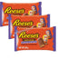 Reese's Peanut Butter and Milk Chocolate Flavour Skeletons Multipack 229g (Pack of 3)