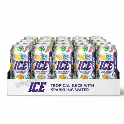 Ice Drink Cans 330ml Variety Flavours Pack of 24 | Soft Drinks