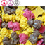Hannah’s Sweets & Chocolates 3kg – Milk Frogs, White Mice, Fish & Chips, Mega Jazzies & More