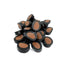 Finnish Liquorice & Chocolate Ovals 1Kg - 5Kg