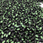 Finnish Liquorice & Apple Ovals 2kg