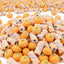 Bulgari Pumpkin Mallows & Kingsway Tongue Painter Mallows (1Kg - 5Kg)