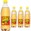 Bigga Soft Drinks – 600ml (Assorted Flavours)