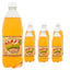 Bigga Soft Drinks – 600ml (Assorted Flavours)