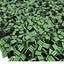 Finnish Liquorice & Apple Stripe 2kg