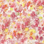 Curtis Mini Bon Bons Sweets (1.5kg - 9kg)