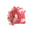 Candycrave Vegan Fizzy Dracula Teeth 1kg - 5kg