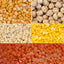 White Pearl Lentils and Pulses Bundle Chana Dal Chick Peas Moong Urid Masoor 4kg Bucket