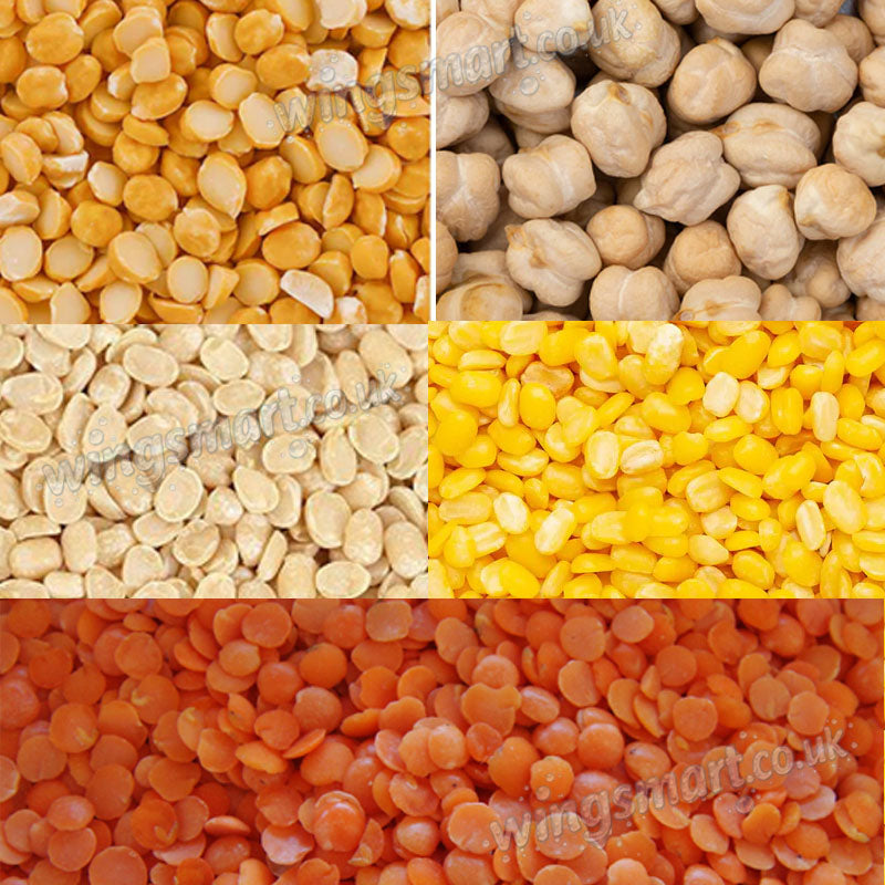White Pearl Lentils and Pulses Bundle Chana Dal Chick Peas Moong Urid Masoor 4kg Bucket