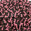 BUBS Raspberry Liquorice Skulls 1kg - 5kg