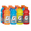 Gatorade Electrolyte Drink  591ml