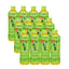 ITO EN Oi Ocha Green Tea 12 x 500ml No Sugar Premium Whole Tea Leaves Japanese Drink