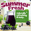 Ribena Blackcurrant Squash 1.5L Bottles (Pack of 3) – Concentrated Fruit Soft Drink