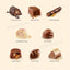 Thorntons Classic Collection Milk, Dark & White Chocolate Gift Box 262g (Box of 6)